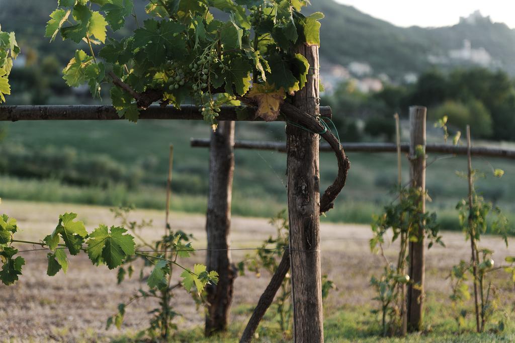 Willa Relais Casale Valigi Narni Zewnętrze zdjęcie